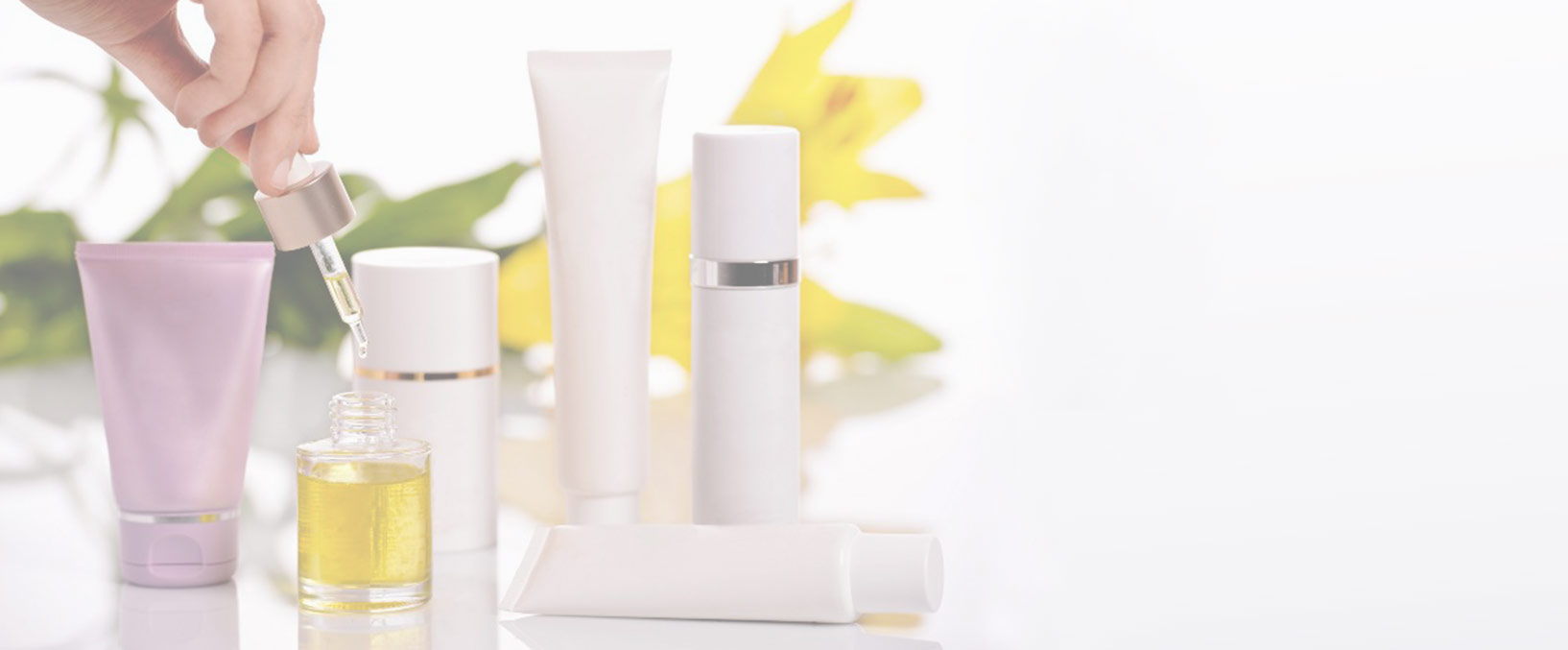 analisis PRODUCTOS COSMÉTICOS
